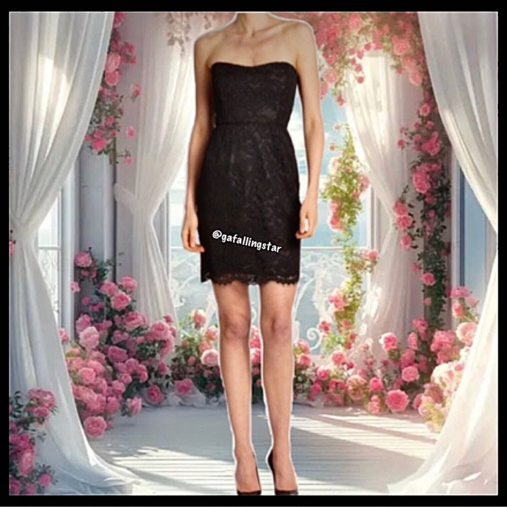 Shoshanna Strapless Lace Mini Dress